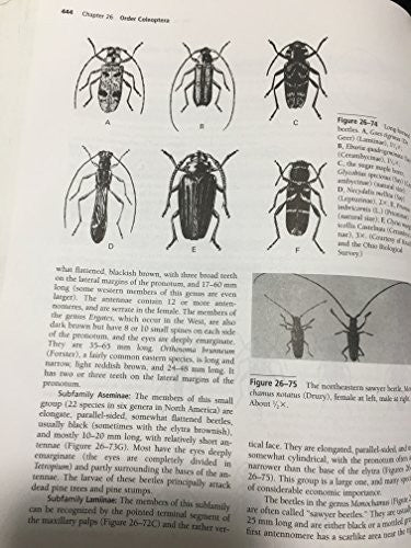 Borror and DeLong's Introduction to the Study of Insects