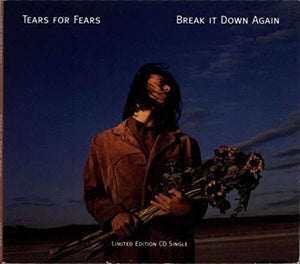 Break It Down Again