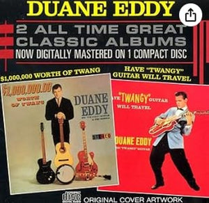 Have Twangin Guitar, Will Travel