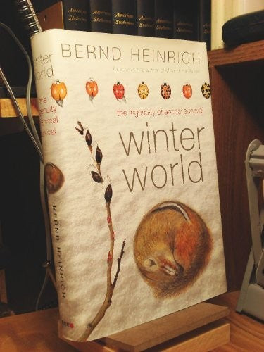 Winter World