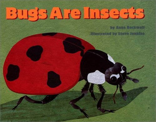 Bugs are Insects
