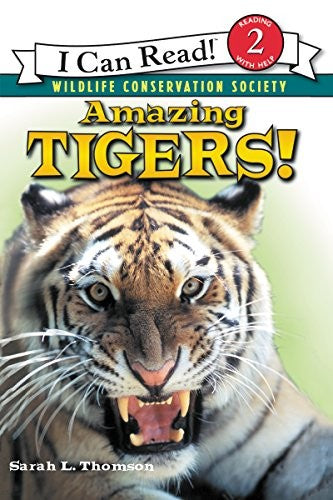 Amazing Tigers