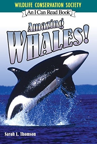 Amazing Whales!