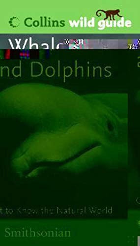 Whales and Dolphins (Collins Wild Guide)
