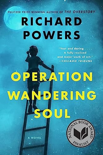 Operation Wandering Soul
