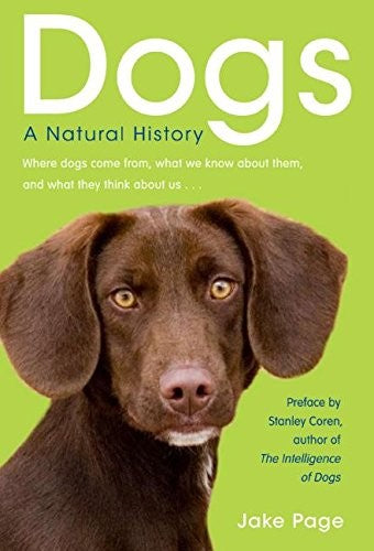 Dogs