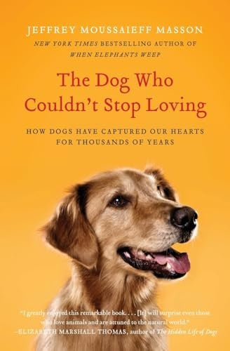 The Dog Who Couldn't Stop Loving