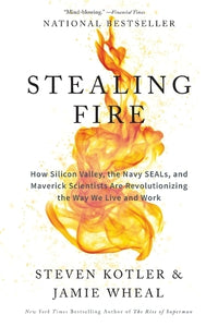 Stealing Fire 