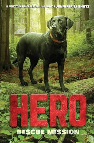 Hero: Rescue Mission