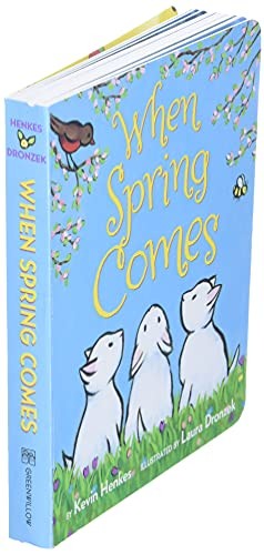 When Spring Comes Board Book