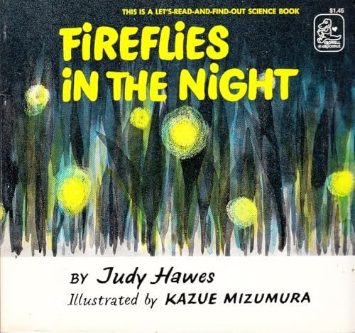 Fireflies in the Night