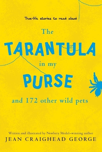 The Tarantula in My Purse