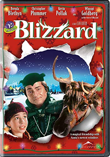 Blizzard