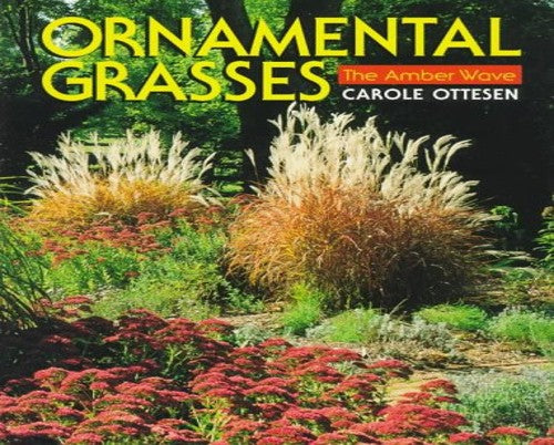 Ornamental Grasses