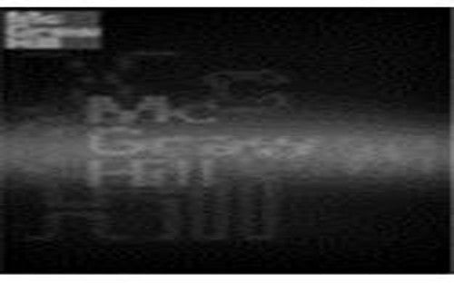 Fifty Readings in Philosophy