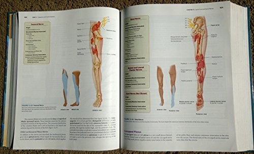 Seeley's Anatomy & Physiology