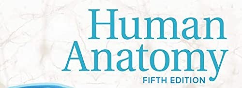 Human Anatomy