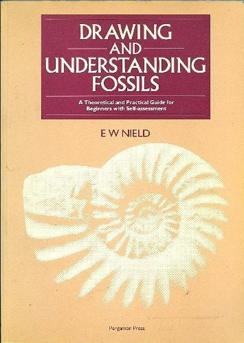 Drawing and Understanding Fossils