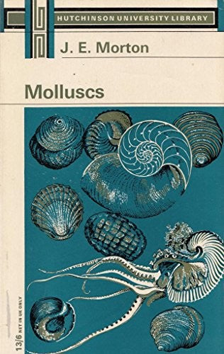 Molluscs