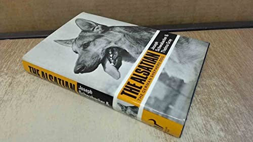 The Alsatian