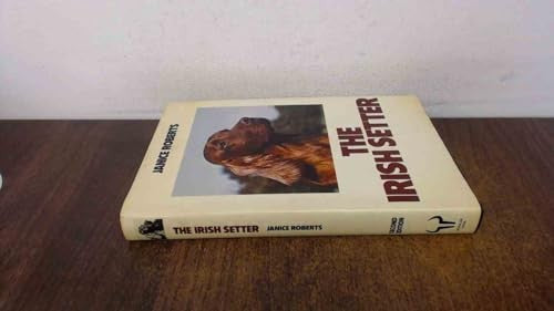The Irish Setter