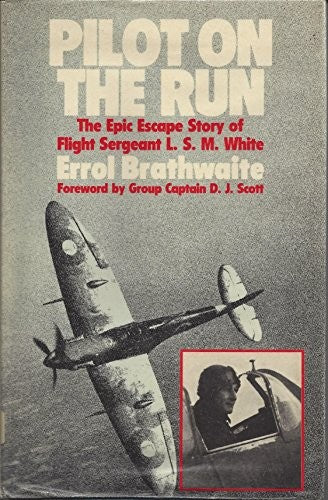 Pilot on the Run