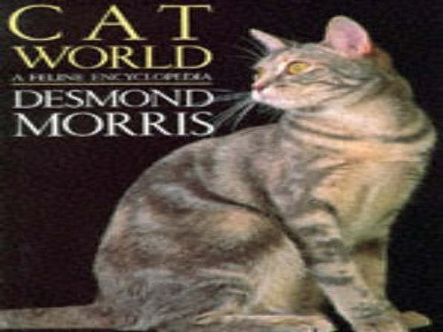 Catworld