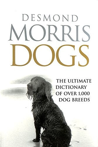 Dogs