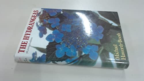 The Hydrangeas