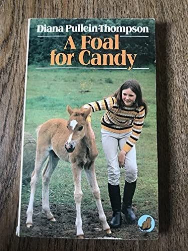 Foal for Candy