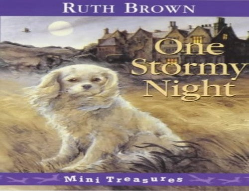 One Stormy Night