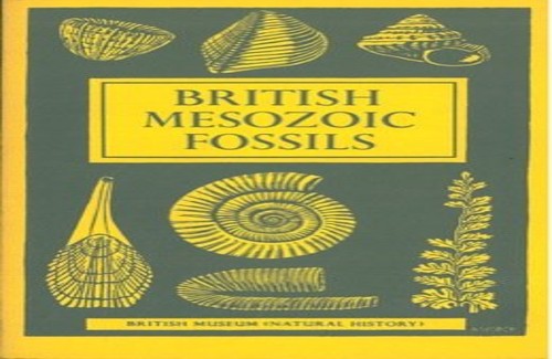 British Mesozoic Fossils