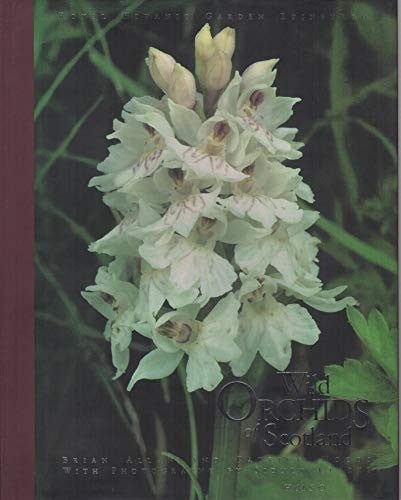 Wild Orchids of Scotland