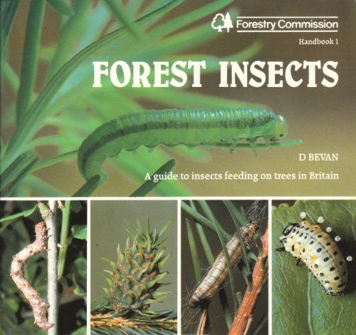 Forest Insects