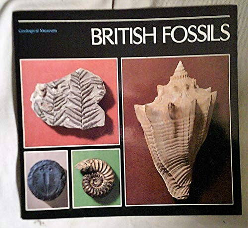 British Fossils