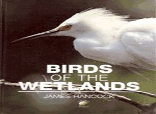 Birds of the Wetlands