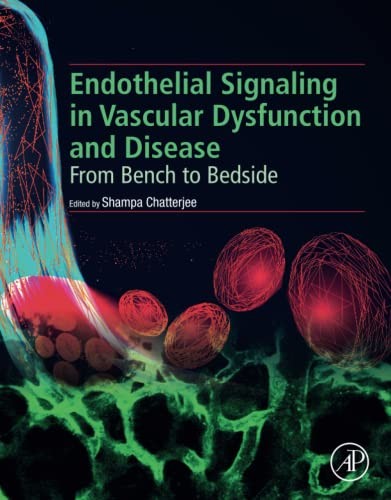 Endothelial Signaling in Vascular Dysfunction and Disease