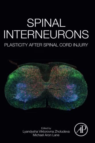Spinal Interneurons