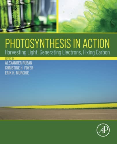Photosynthesis in Action