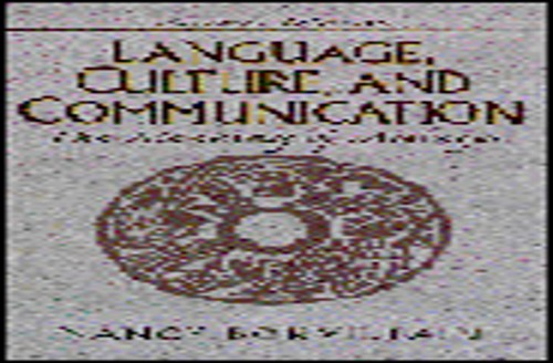 Language Culture Communication