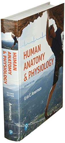 Human Anatomy & Physiology