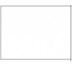 The Second World War 