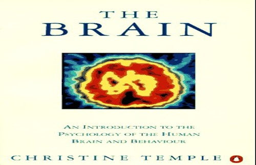 The Brain