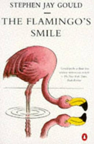 The Flamingo's Smile
