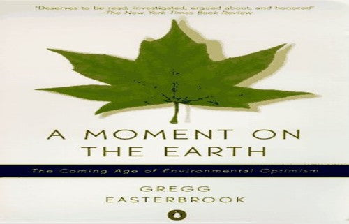 A Moment on the Earth