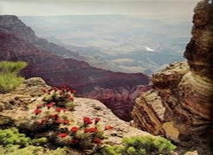 The Little Book of Life and Death 