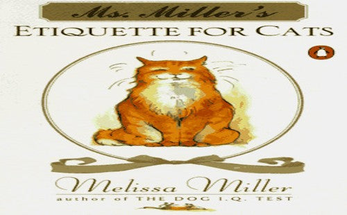 Etiquette for Cats