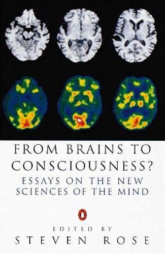 From Brains to Consciousness?