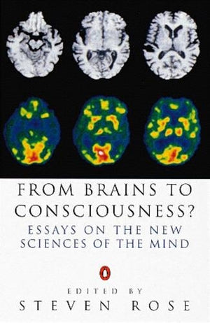 From Brains to Consciousness?