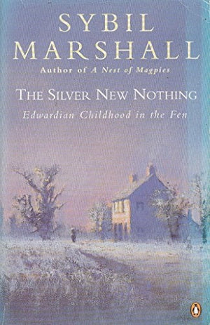 The Silver New Nothing